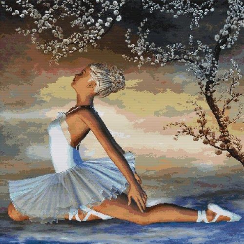 (image for) Evening Swan